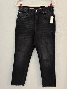 Anthropologie Pilcro Black Distressed Women’s Jeans